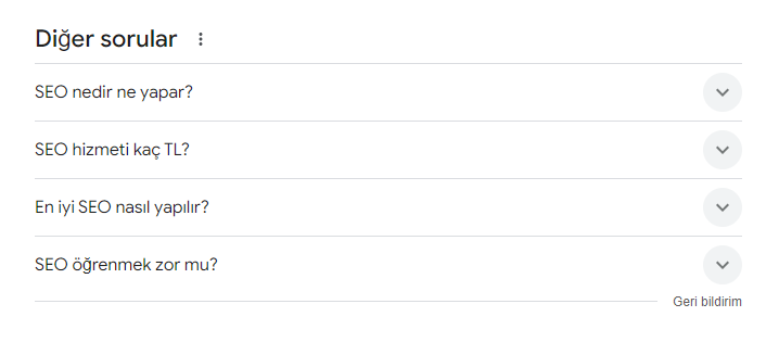 SERP Özellikleri: Diğer Sorular