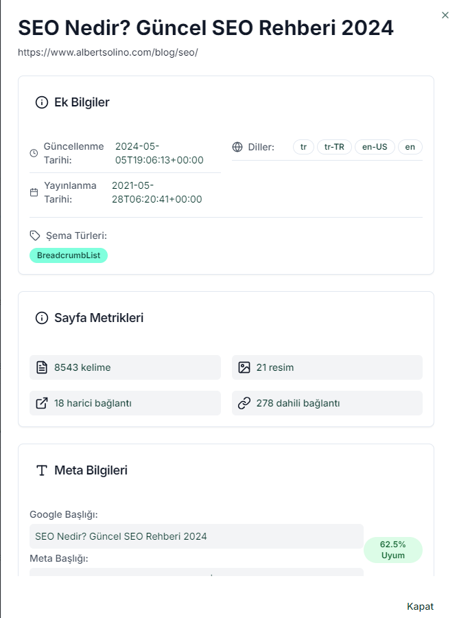 serp'te bulunan websitesinin analizi